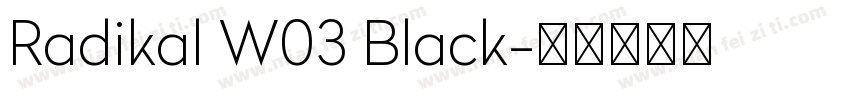 Radikal W03 Black字体转换